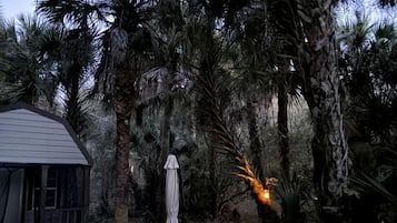 Un jardín con palmeras, un espacio de estar cubierto y un camino iluminado por luces colgantes.