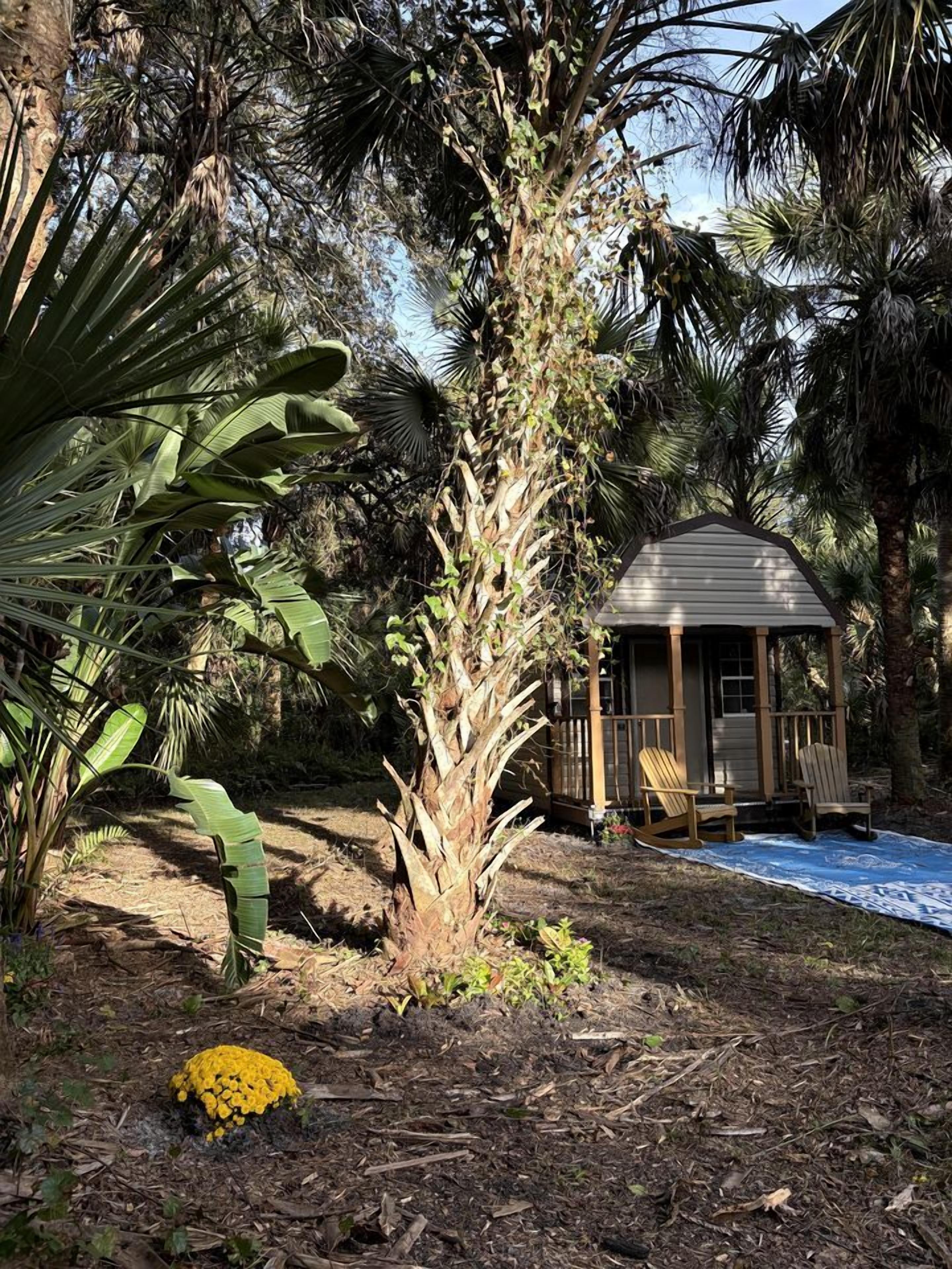 A gazebo with a roof and railings, surrounded by trees and a small pool.