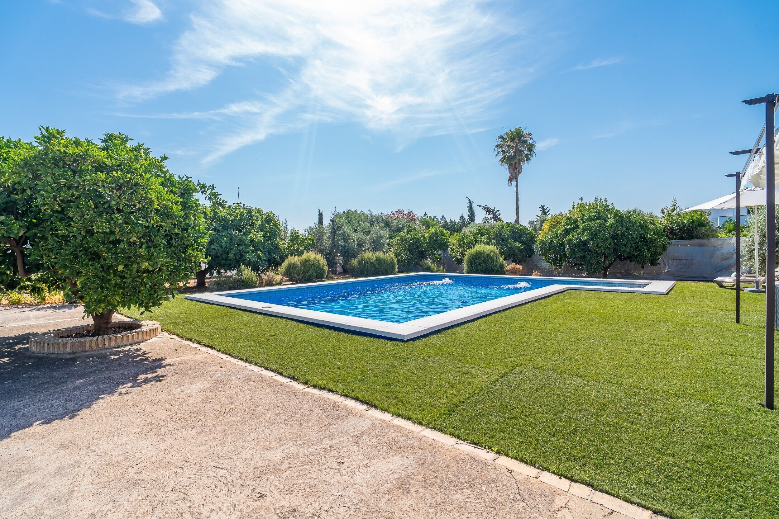 A rectangular swimming pool surrounded by well-maintained grass, with trees and a clear sky in the background.