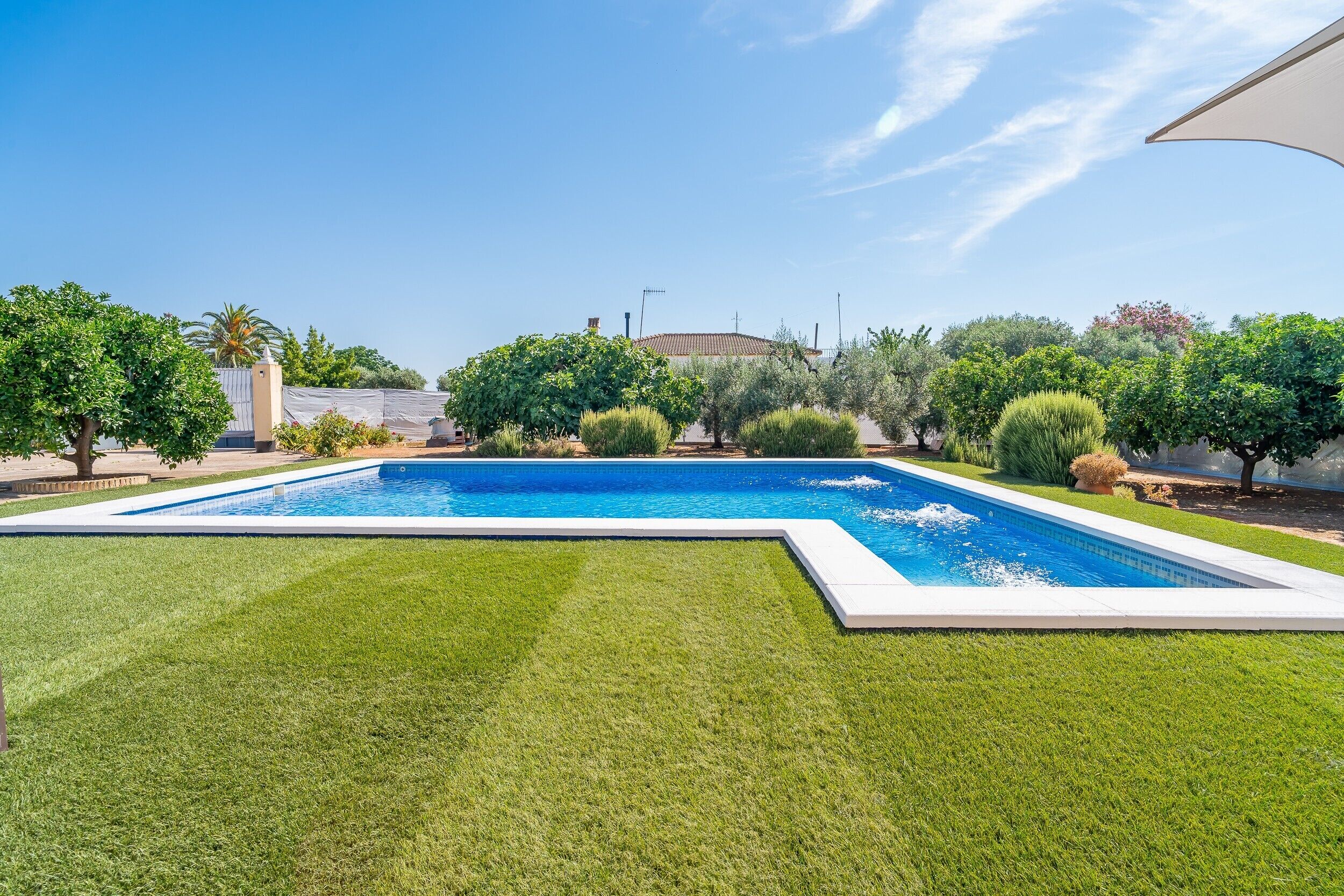 Una piscina rectangular con borde blanco, rodeada de césped cuidado y varios árboles.