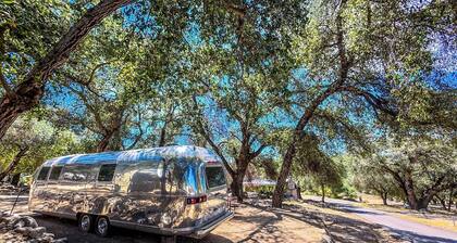 Vintage Airstream Stay Beneath Oaks & Starry Skies in Pauma Valley, California