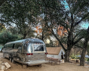 A silver recreational vehicle parked in a wooded area with a picnic table and a small shelter nearby.