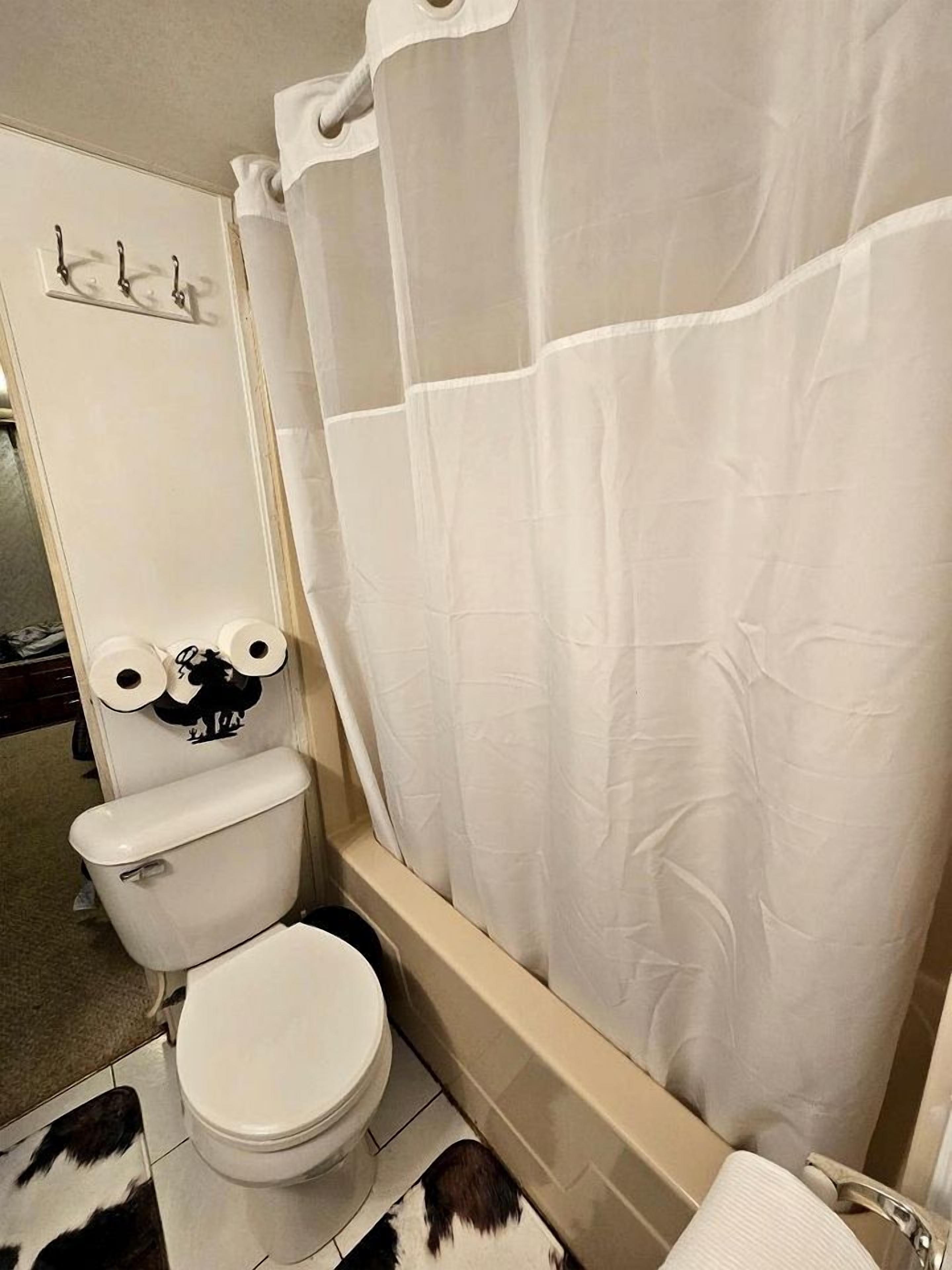 A bathroom with a toilet, a shower curtain, and a toilet paper holder with a cartoon character.