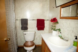 Ein Badezimmer mit Toilette, Waschbecken, Spiegel und Duschvorhang.