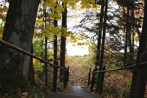 Un escalier en bois, situé dans une forêt, entouré d’arbres et jonché de feuilles mortes.