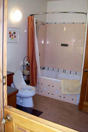 Een badkamer met toilet, douche en wastafel.