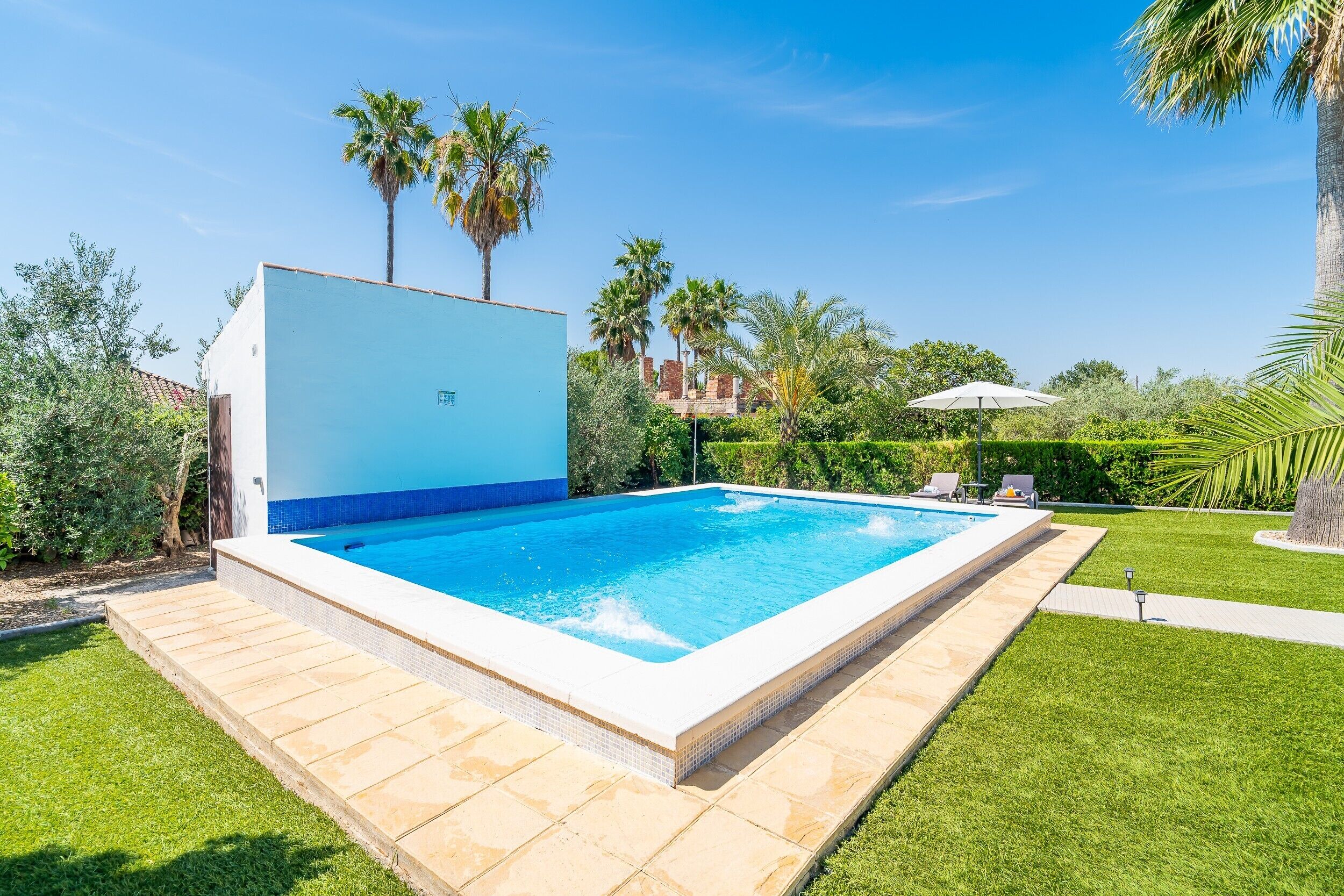 Ein rechteckiger Swimmingpool mit einer bepflasterten Kante, umgeben von einem gepflegten Rasen und Palmen.