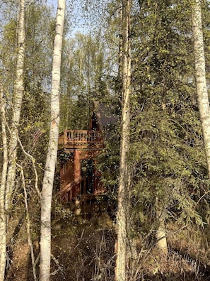 Ein rustikales Holzgebäude, von Bäumen umgeben.