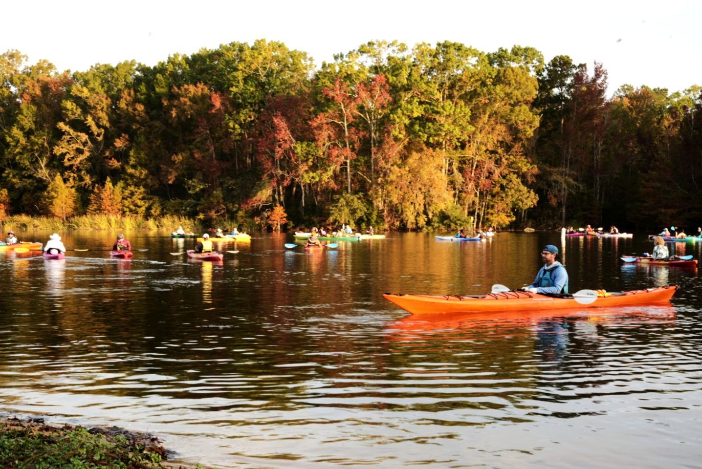 A group of people kayaking on a calm lake surrounded by trees.