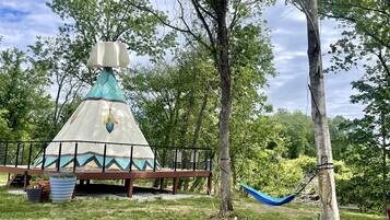 A geodesic dome structure with a platform and railing, surrounded by trees and grass.