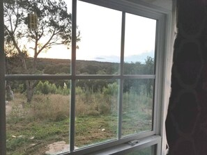 Una ventana con vistas a un área verde y árboles.