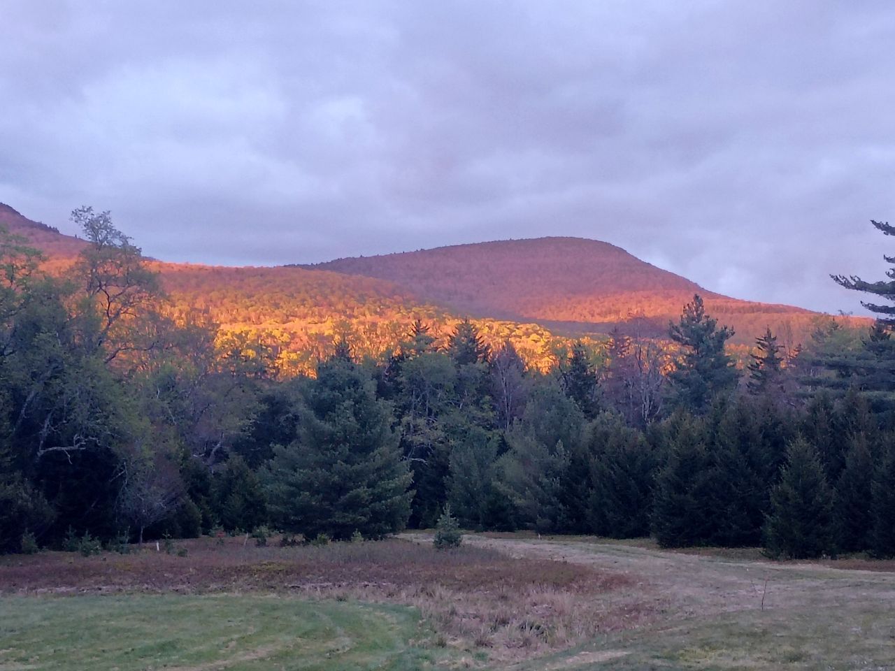 A natural landscape with a forested hill and a clear sky.