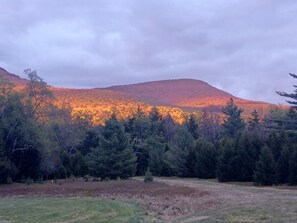 A natural landscape with a forested hill and a clear sky.