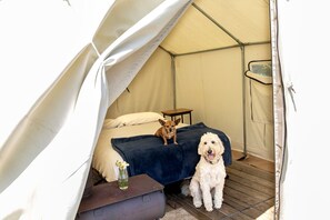 A tent with a bed, a small table, and a dog.