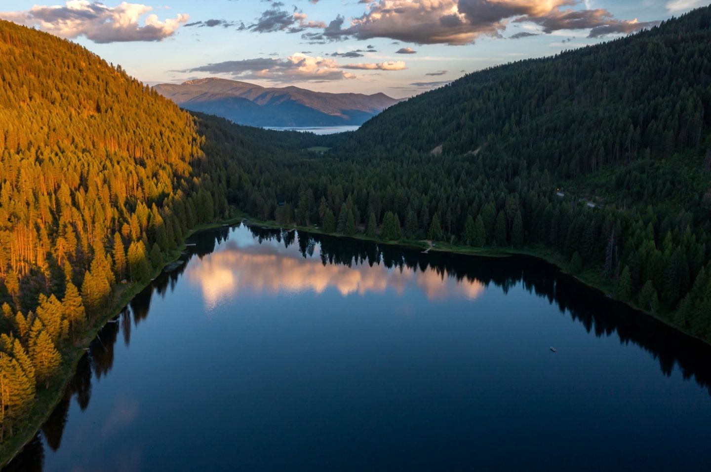 Un lago tranquilo rodeado de bosques densos y montañas al fondo.