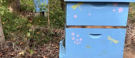 Une ruche située dans une zone boisée, avec une base en béton et une façade peinte en bleu.