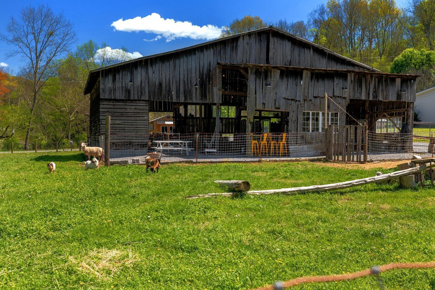 A rustic barn with a fenced area, a picnic table, and a small dog.