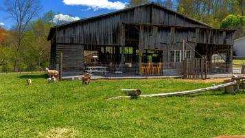A rustic barn with a fenced area, a picnic table, and a small dog.