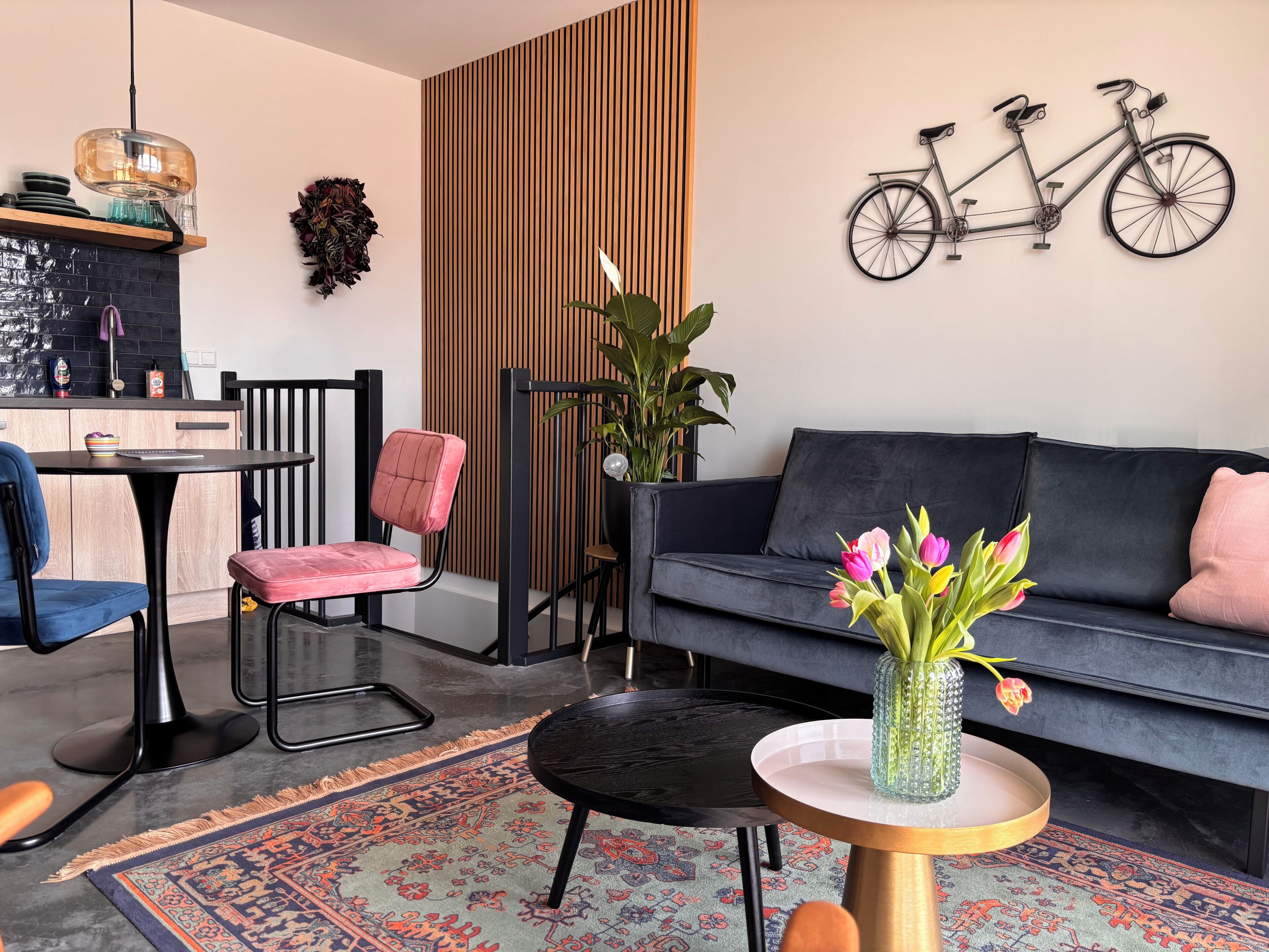Un salon moderne comprenant un canapé, un fauteuil, une petite table, un tapis, une plante en pot et un vélo fixé au mur.