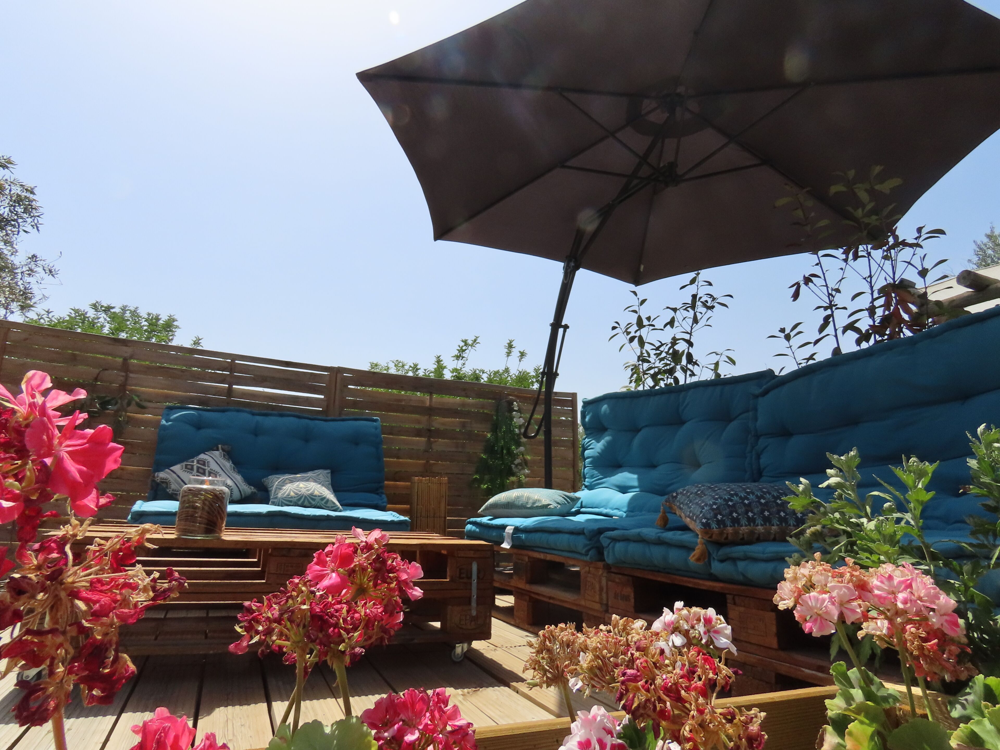Terras