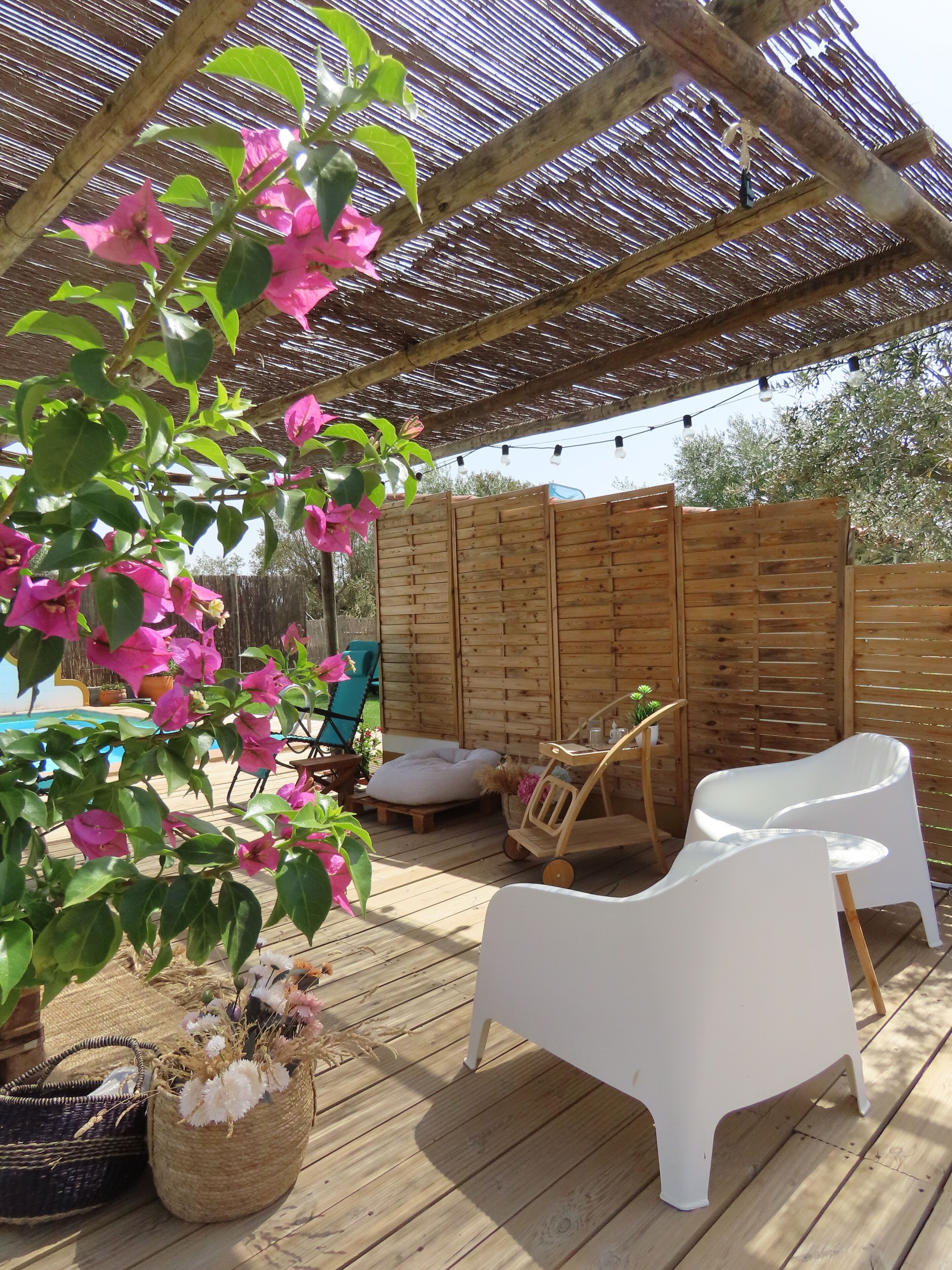 Terraza o patio