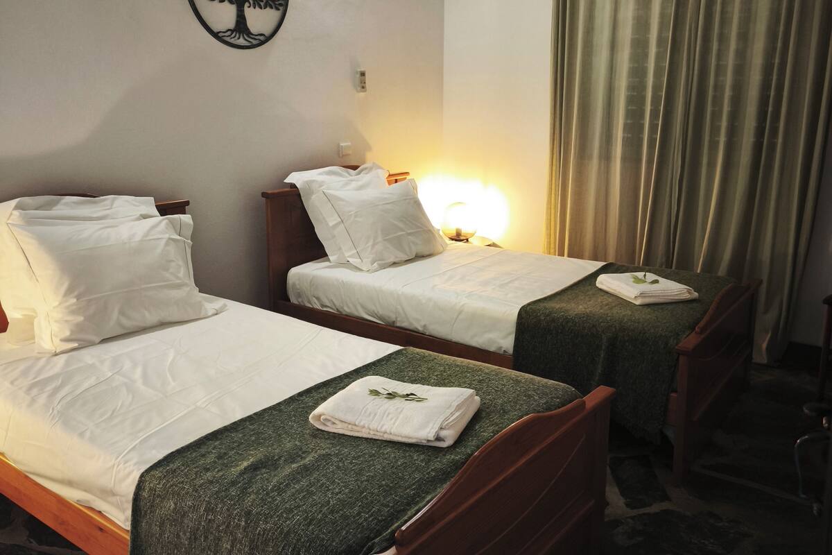 A room with two beds, a wall-mounted air conditioner, a decorative tree, a lamp, and a curtain.