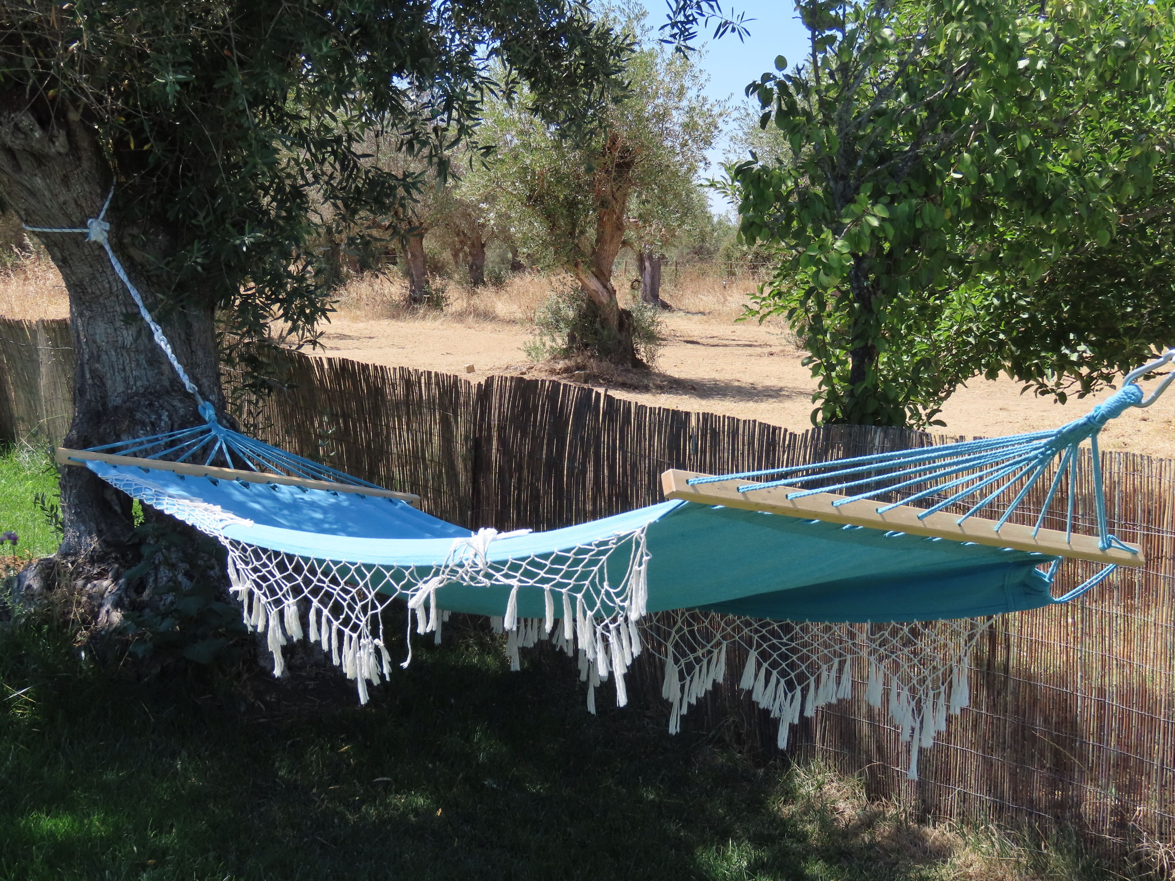 A hammock tied between trees in a natural setting.