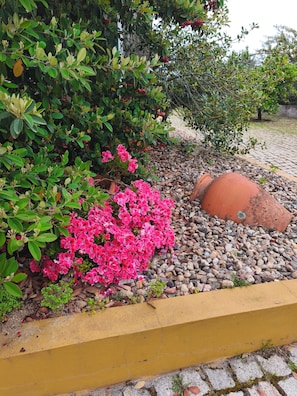 Un jardin agrémenté de fleurs roses, de feuillage verdoyant et d’un grand pot en terre cuite.