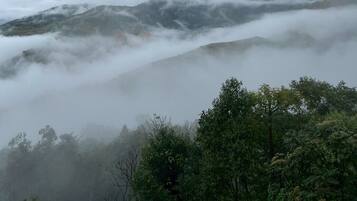Un paysage montagneux avec une forêt au premier plan et un sommet enveloppé de brume.