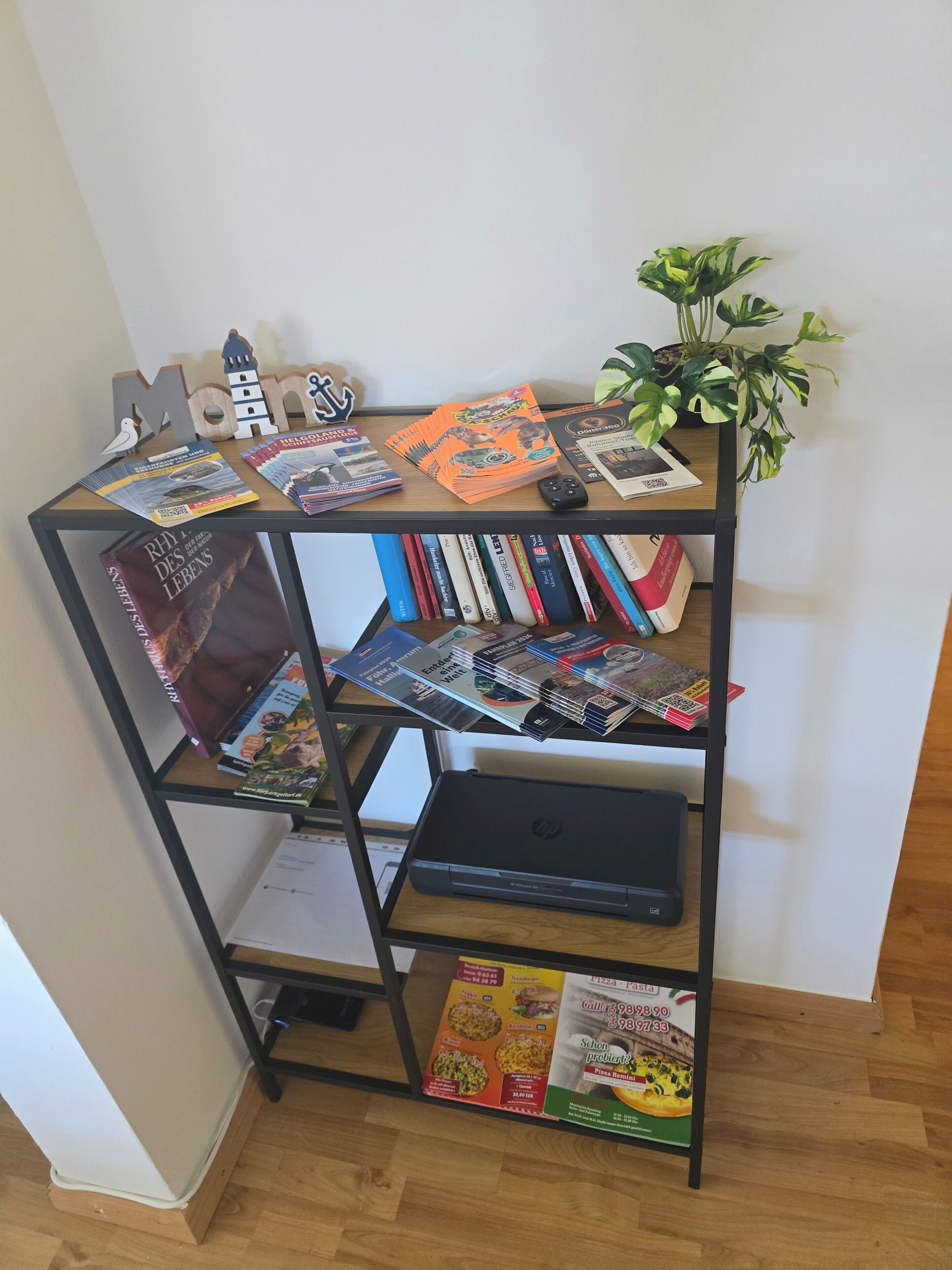 A bookshelf with various books and magazines, a laptop, and a small potted plant.