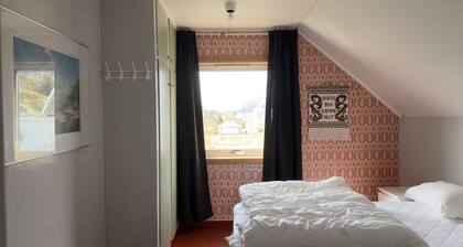 Cosy retro house in Lofoten