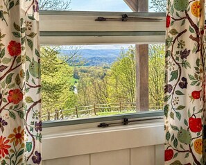 Uma janela com vista para uma paisagem arborizada.