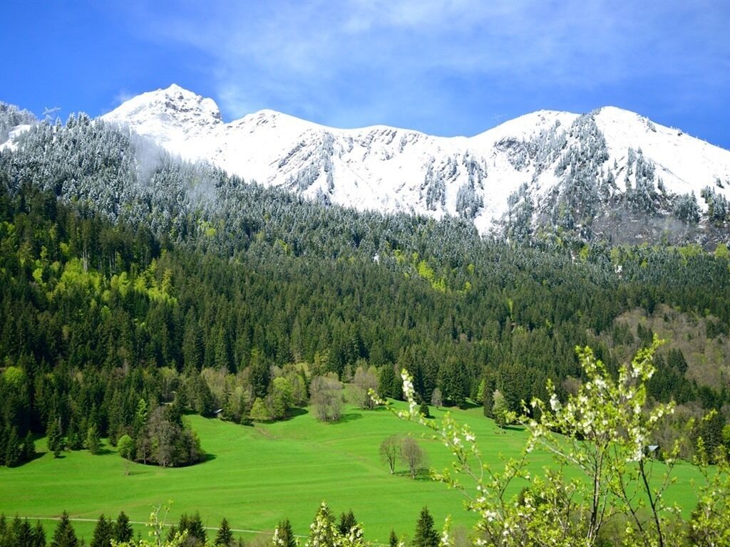Paesaggio montuoso con cime innevate, fitta foresta e campi verdi.