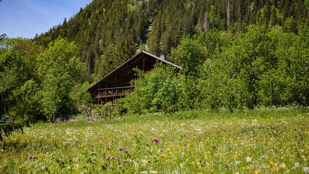 A cabin with a sloped roof, surrounded by dense forest and a meadow with wildflowers. - Chalet Cannelle (La Chapelle-d'Abondance)