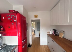 Private kitchen - Bright and eclectic flat in Reykjavík - walk everywhere (Reykjavík)