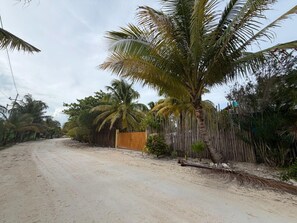 Une route de campagne bordée de palmiers et d’une clôture en bois.
