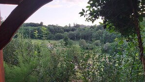 A view through a wooden structure with dense greenery and trees in the background.