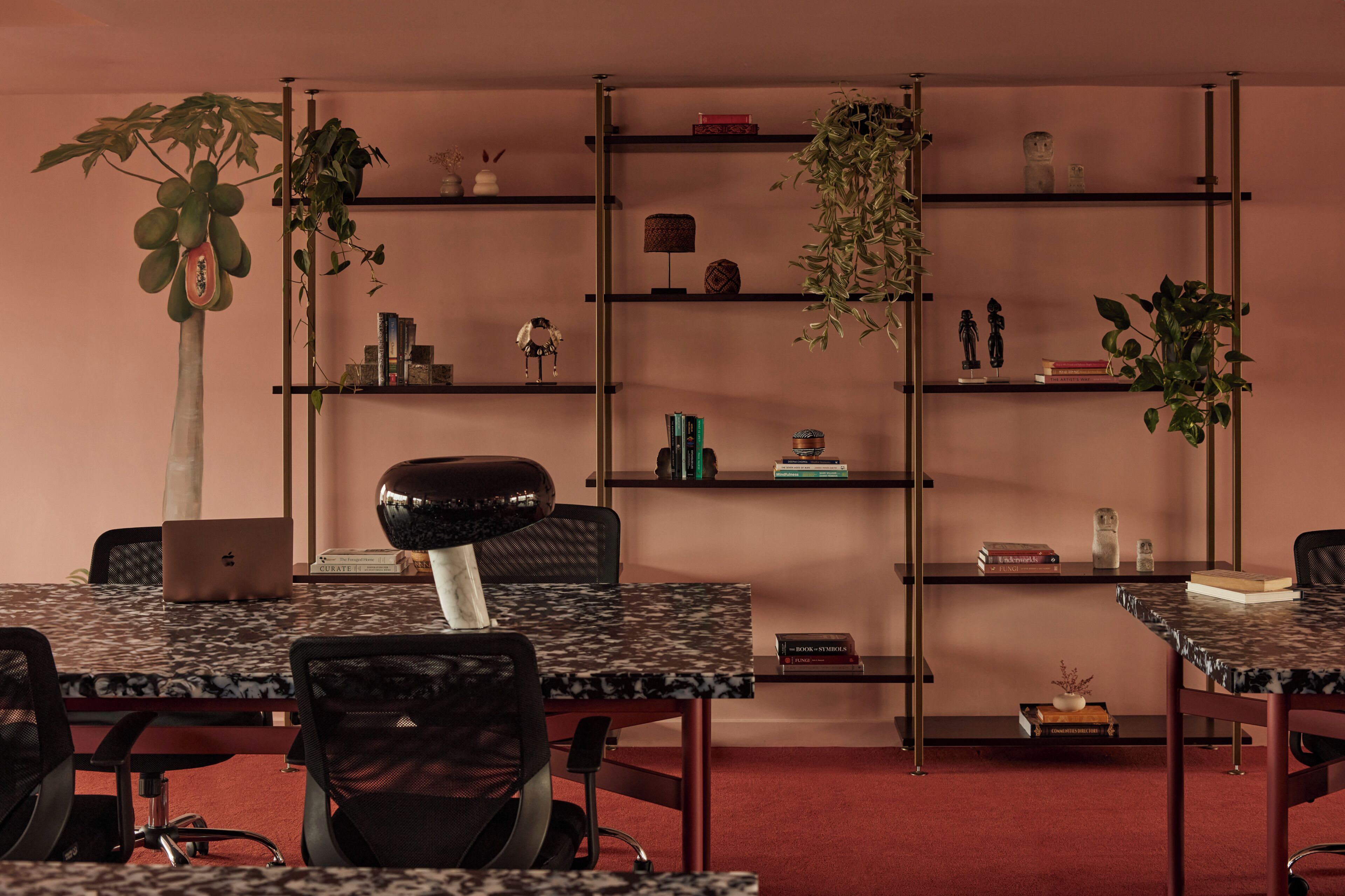 A conference room with a laptop on a table, chairs, a bookshelf with decorative items, and a potted plant.
