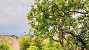Property grounds - Villa with Beautiful Private Garden & Breathtaking Sea View (Porto Alabe)