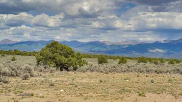 A desert landscape with sparse vegetation, a prominent tree, and distant mountains under a cloudy sky.