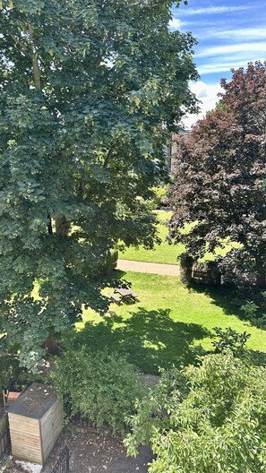 Ein Garten mit einem Holler Schuppen, einer Rasenfläche und einem Baum mit dichtem Laub.