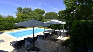 A swimming pool with lounge chairs and umbrellas, surrounded by greenery.