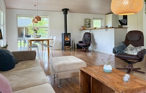 Fernseher, Kamin