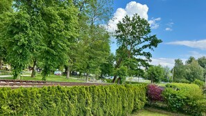 A park with trees, a hedge, and a fence.
