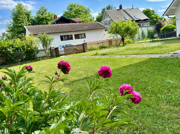 A residential area with houses, a lawn, and flowering plants.