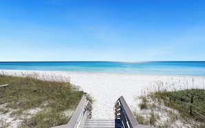 Ein Weg durchs Strandgut führt zu einem Sandstrand, mit blauem, wolkenlosem Himmel.