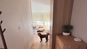 Käytävällä on puulattia, koira, kasvi kaapissa ja kori.