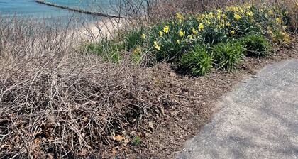 Peaceful 2-bedroom brick Shorewood house near Lake Michigan beaches.