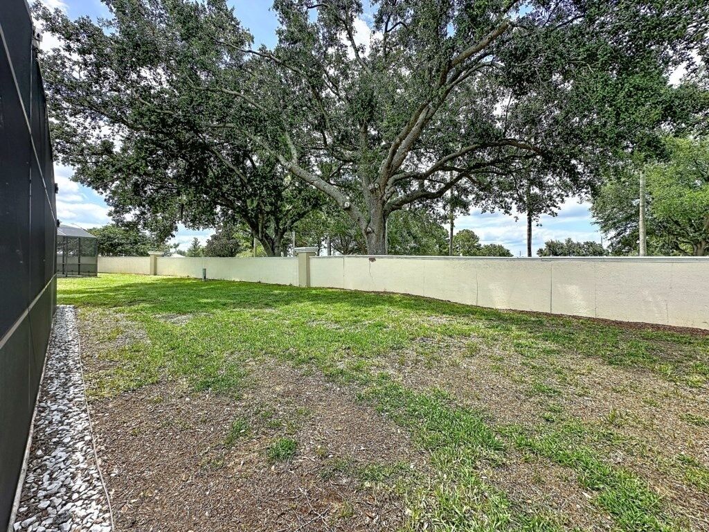 A grassy outdoor area with a large tree, a low wall, and a building in the background.