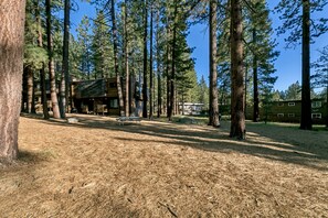 Eine Lodge im Wald unter blauem Himmel, umgeben von hohen Bäumen und trockenem Boden.